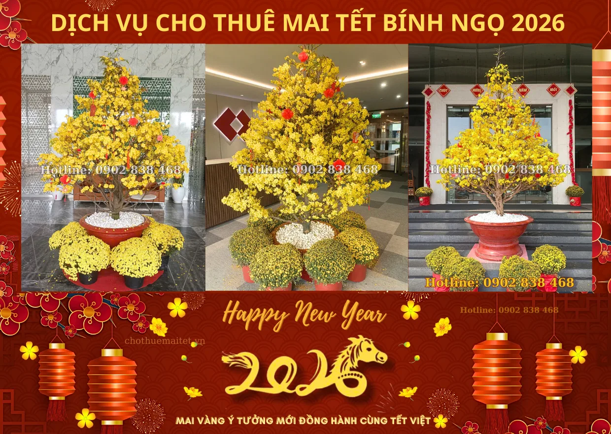 Bảng giá cho thuê mai Tết 2026