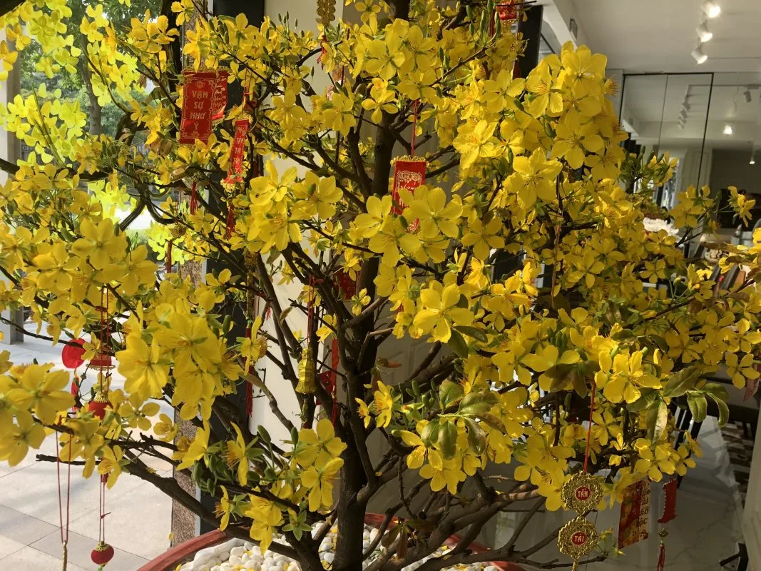 Cho thuê mai Tết Giáp Thìn