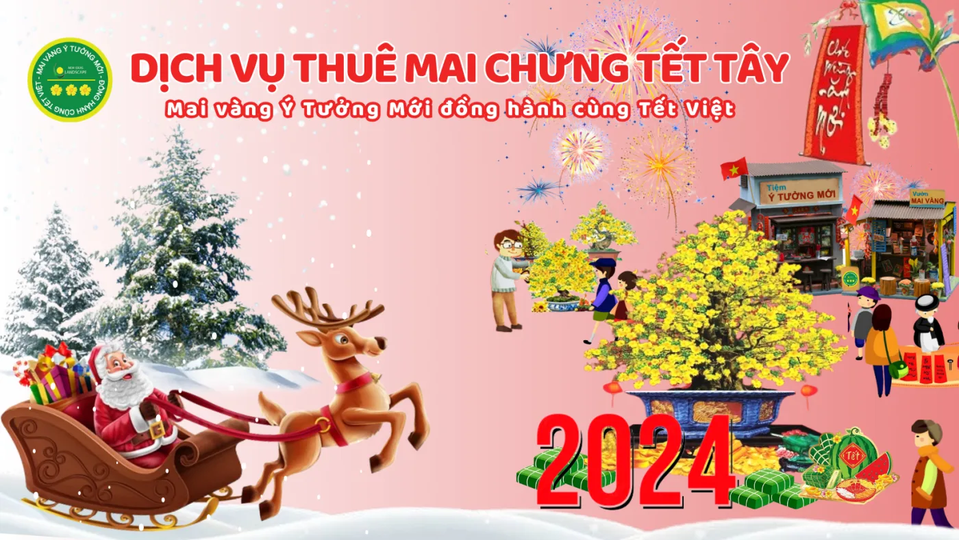 Dịch vụ cho thuê mai Tết Tây