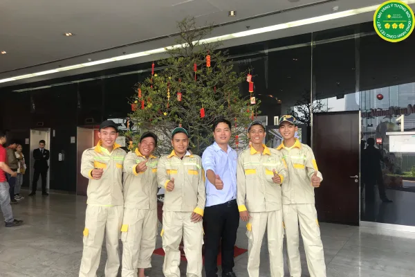 Dịch vụ cho thuê mai Tết xuân
