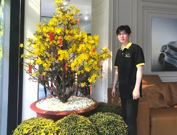 Thuê mai Tết cho văn phòng