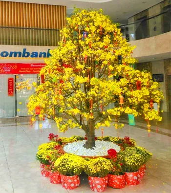 Hoa chúc mừng