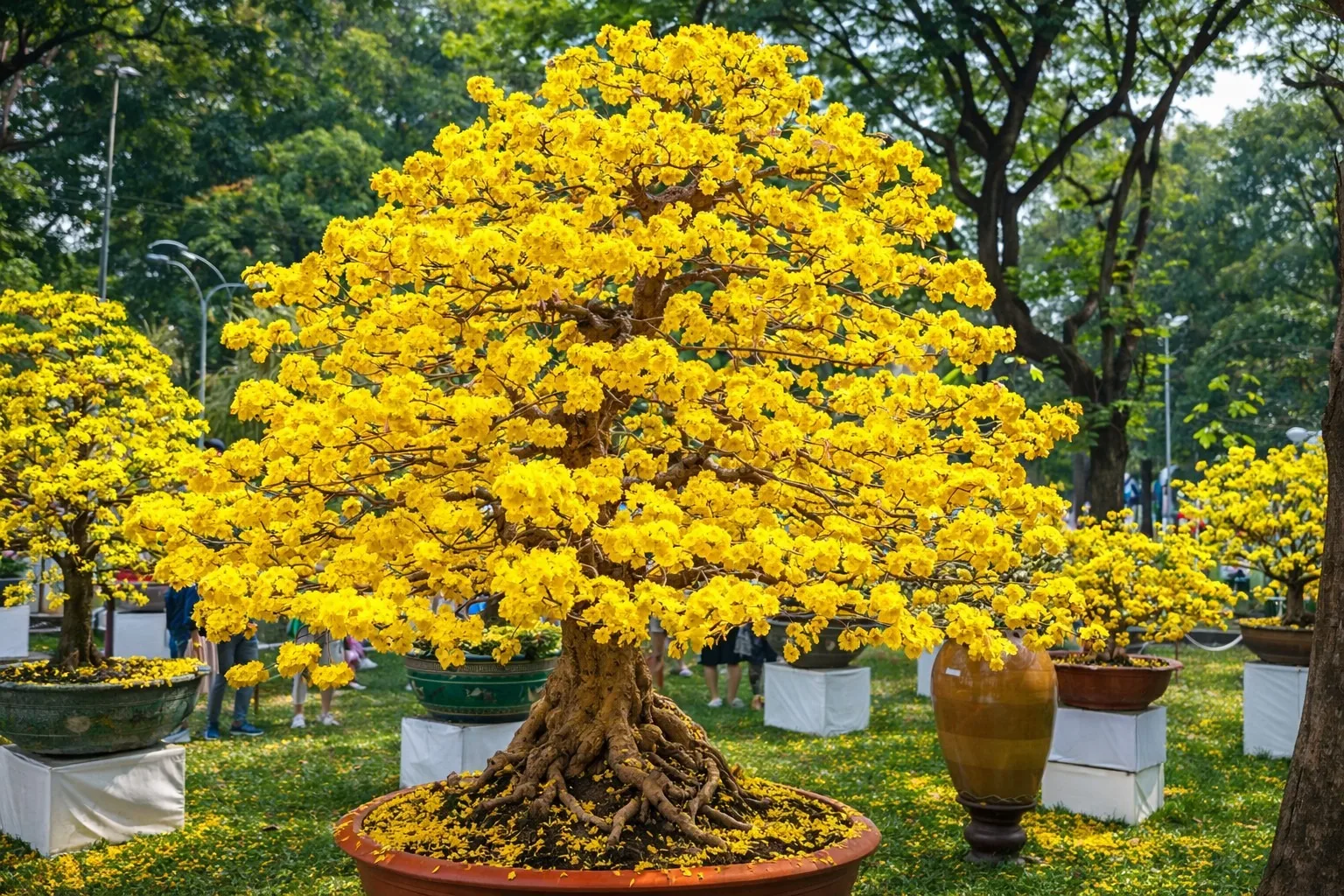 Hoa cưới